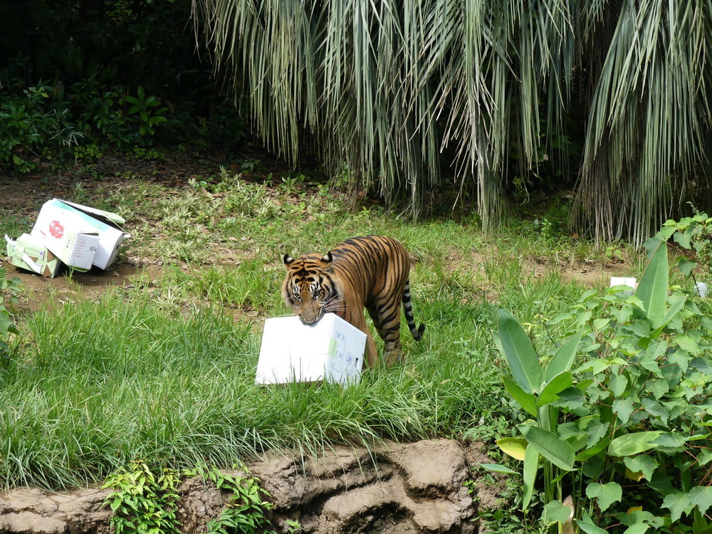 P1170500 - コピー.jpg