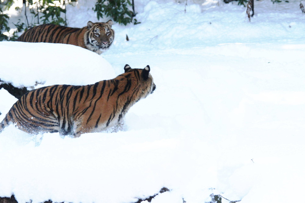 IMG_6637 - コピー.jpg