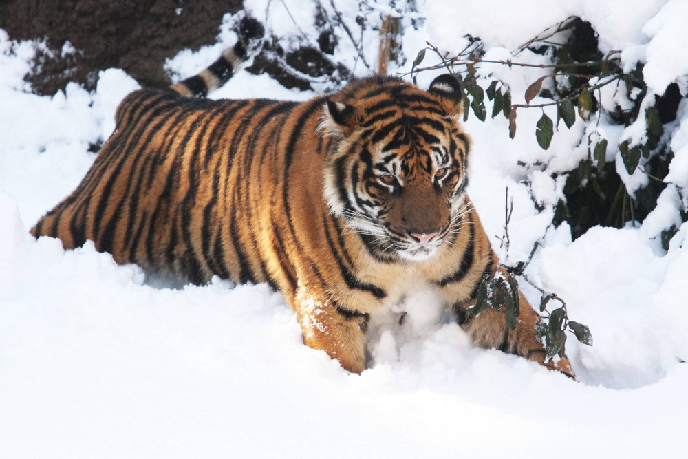 IMG_6591 - コピー.jpg