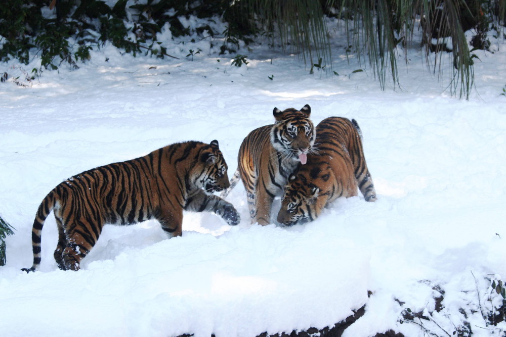 IMG_6904 - コピー.jpg