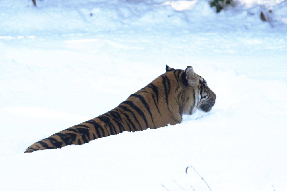 IMG_6546 - コピー.jpg