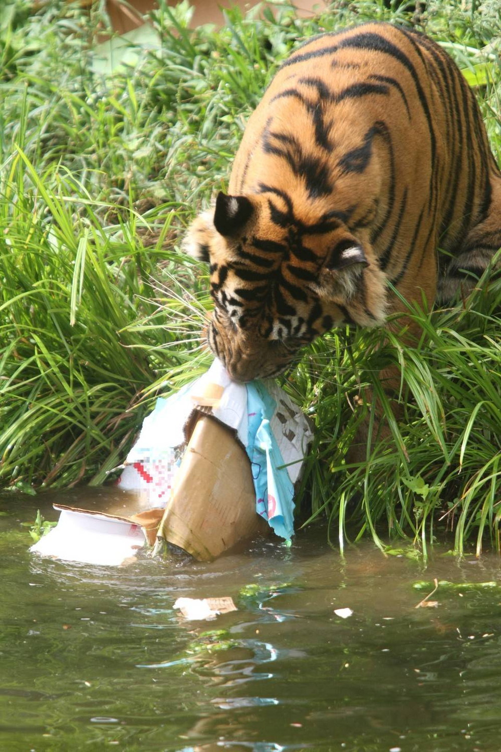 IMG_8104 - コピー.jpg