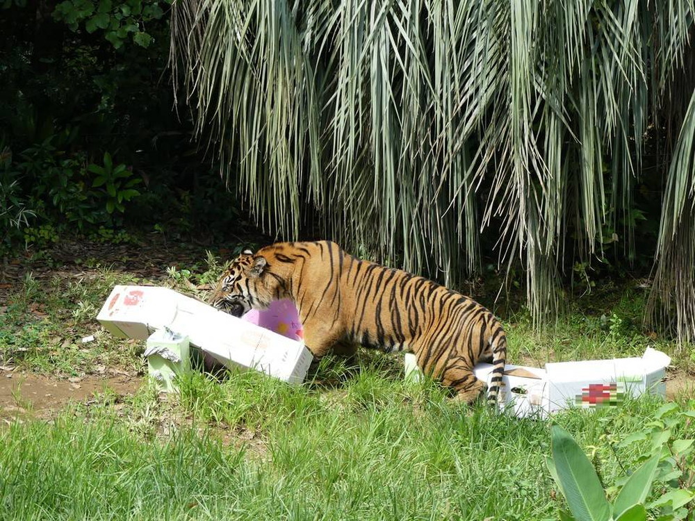 P1170491 - コピー.jpg