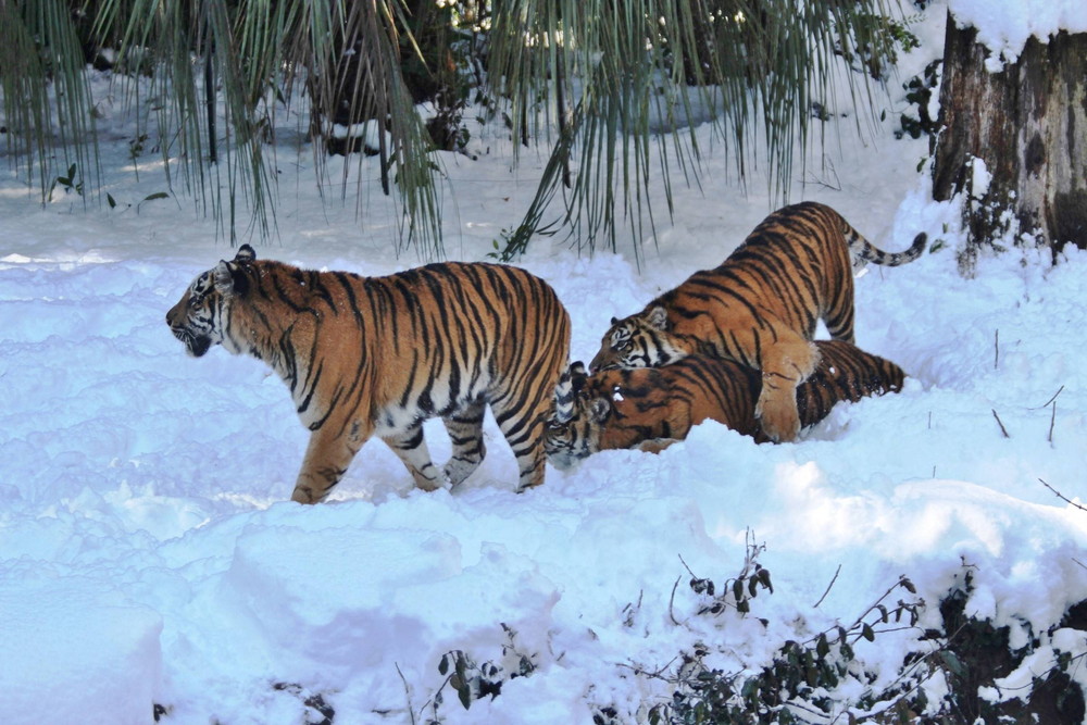 IMG_7055 - コピー.jpg