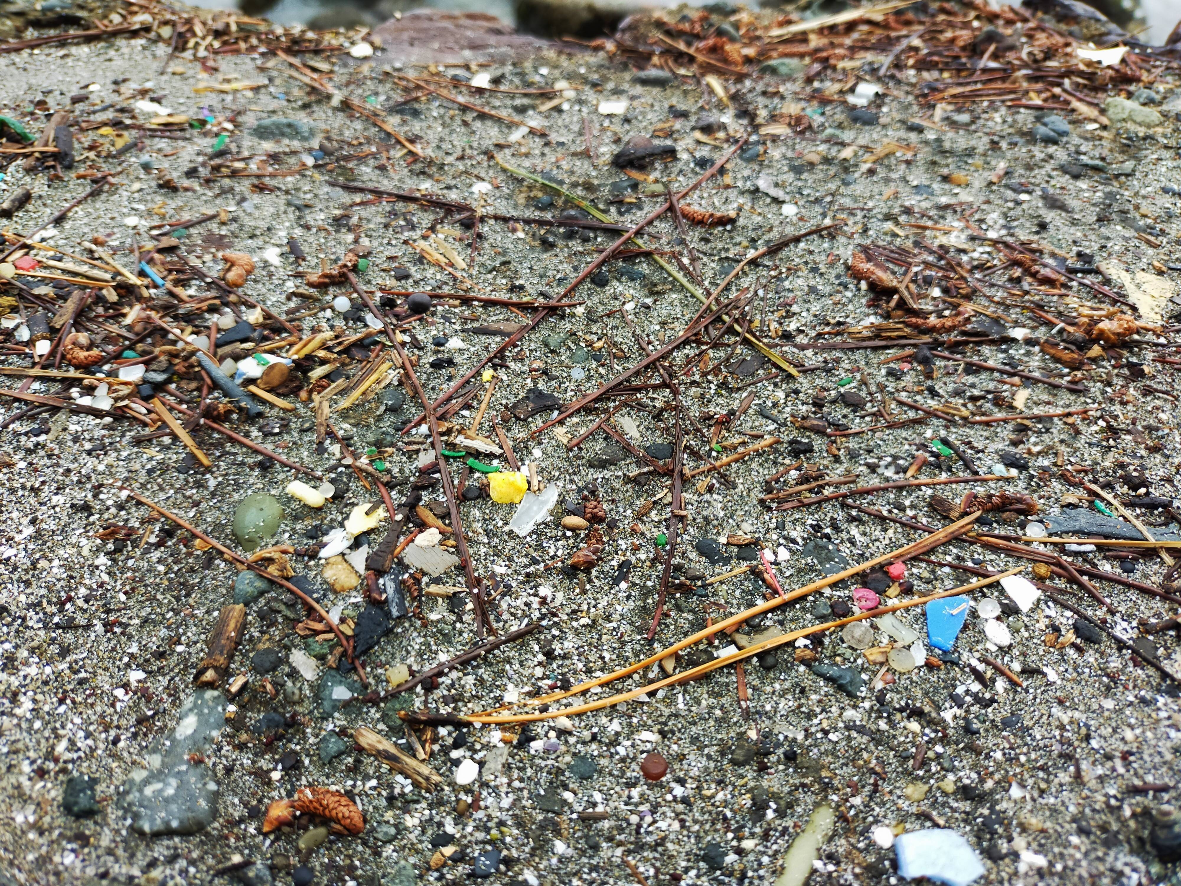 マイクロプラスチック3.jpg