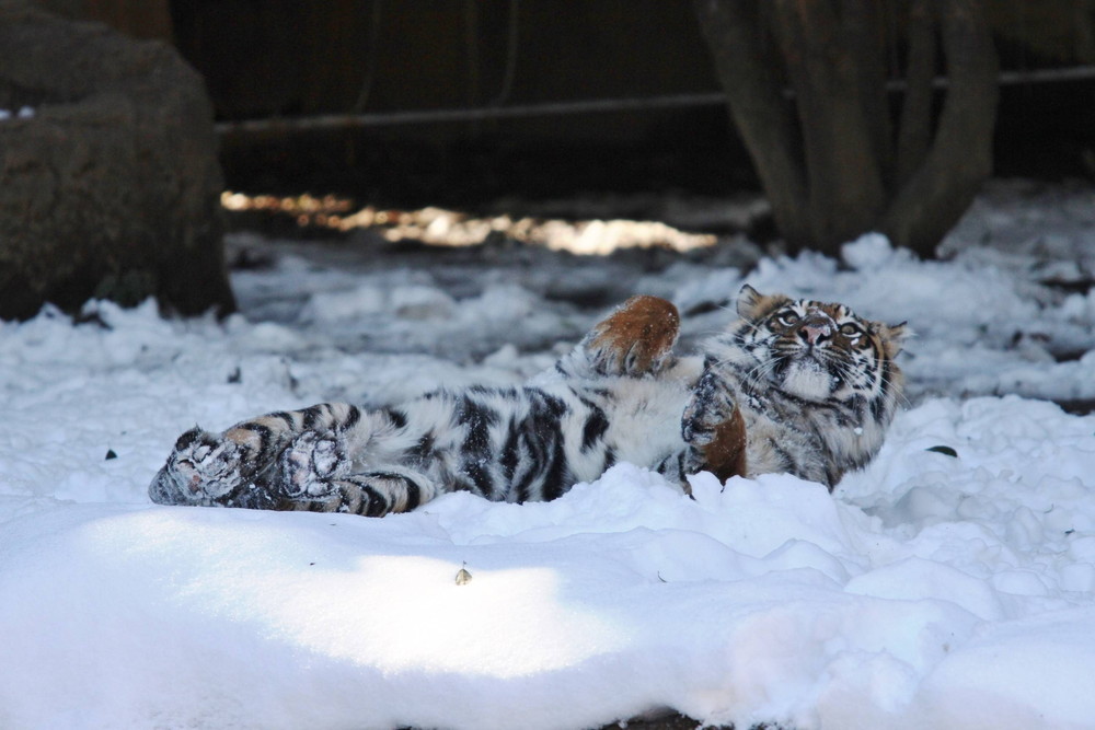 IMG_7246 - コピー.jpg