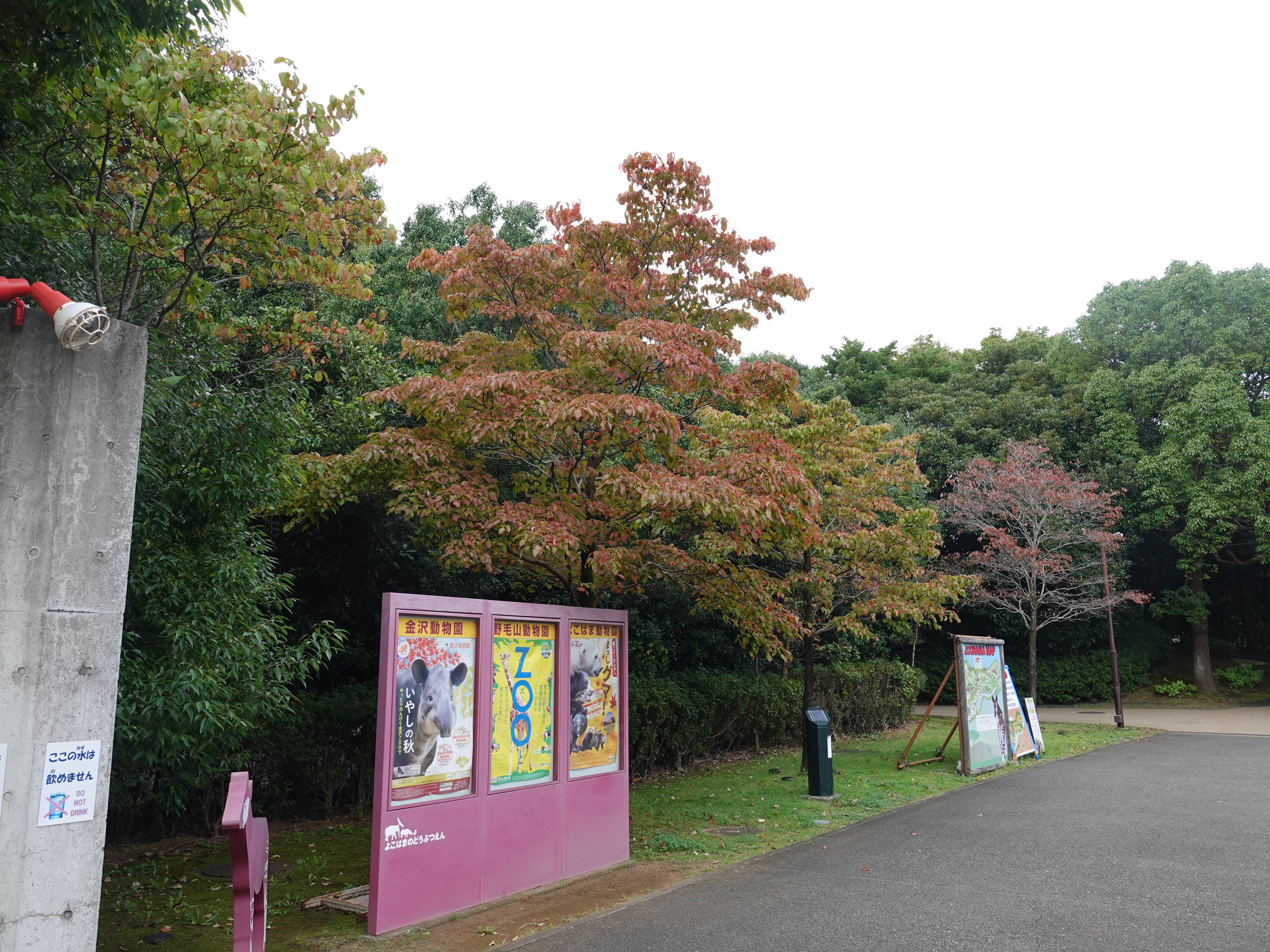 噴水口.jpg