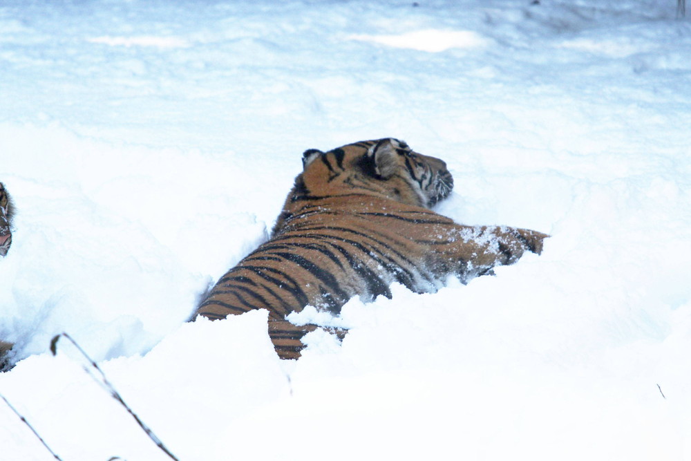 IMG_6655 - コピー.jpg