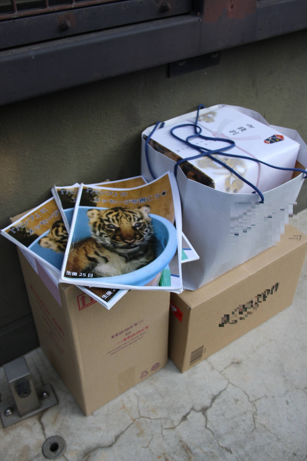 IMG_9960 - コピー.jpg