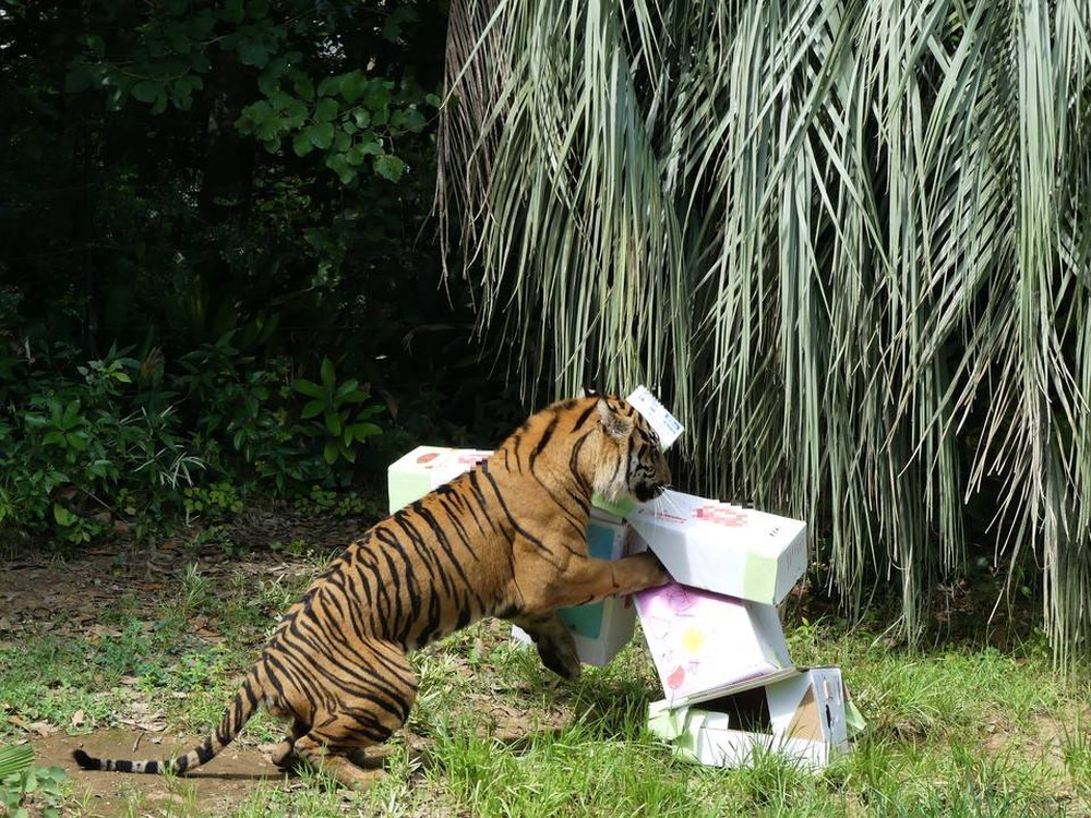 P1170489 - コピー.jpg