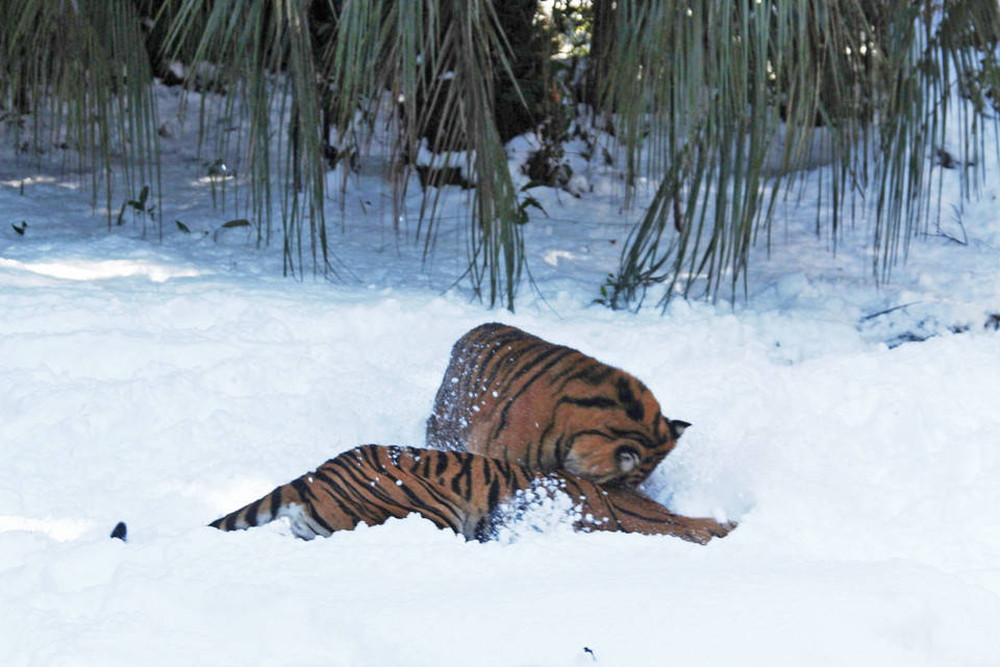 IMG_6835 - コピー.jpg