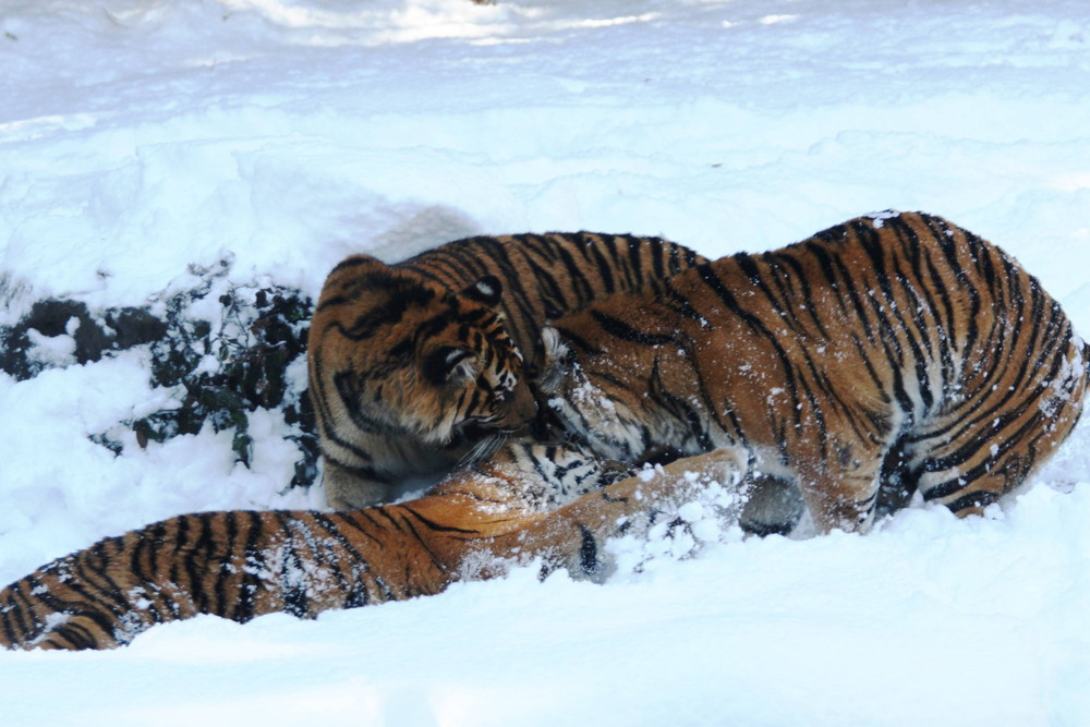 IMG_6886 - コピー.jpg