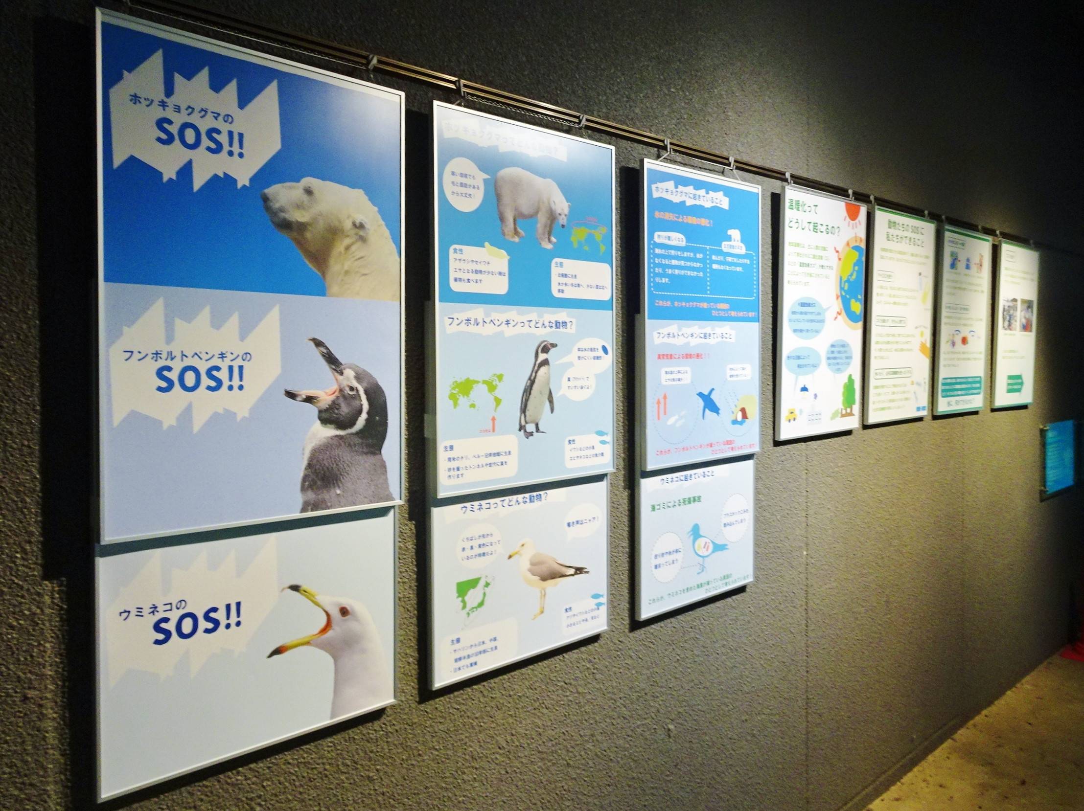 海のいきものSOS展 (3).jpg