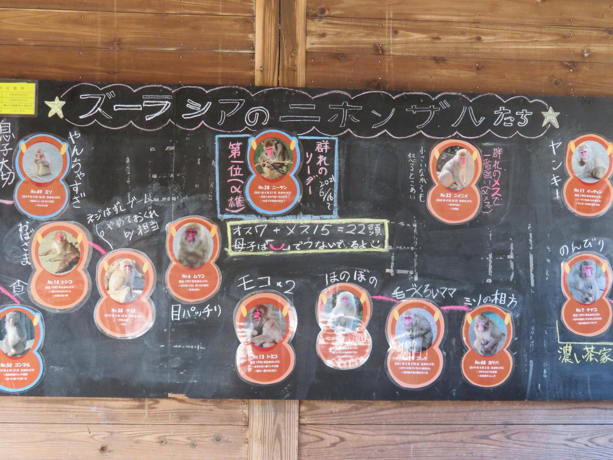 更新後の紹介看板 (2).jpg