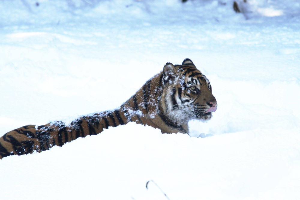 IMG_6549 - コピー.jpg