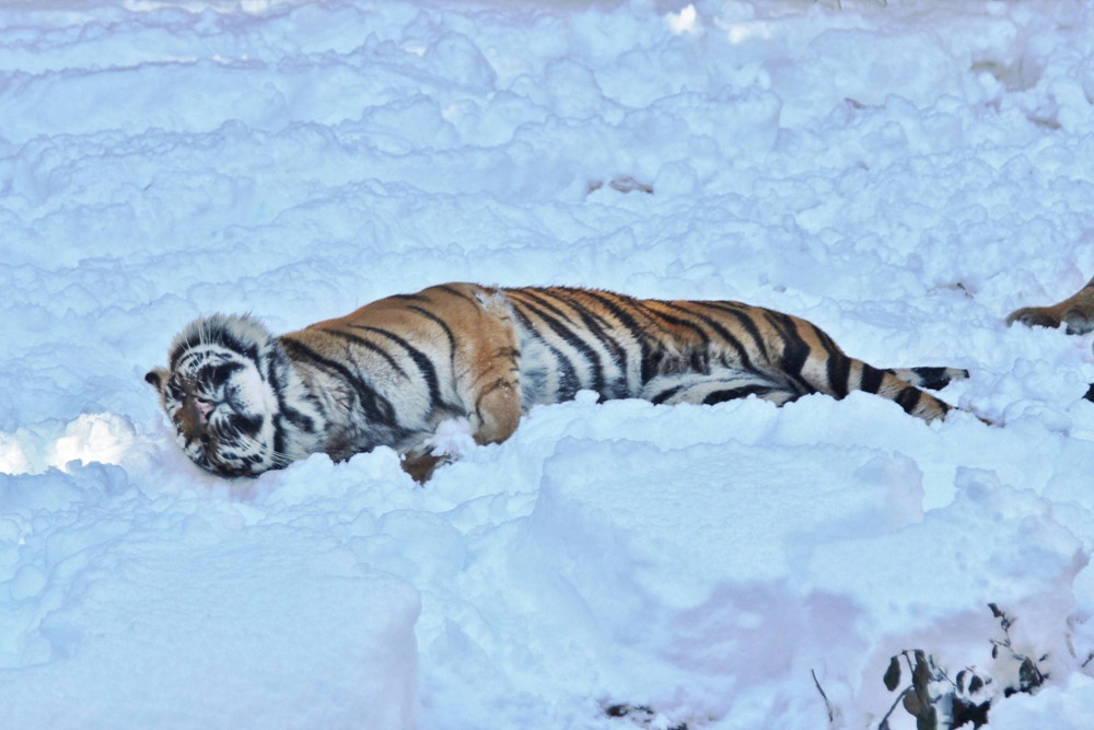 IMG_7060 - コピー.jpg