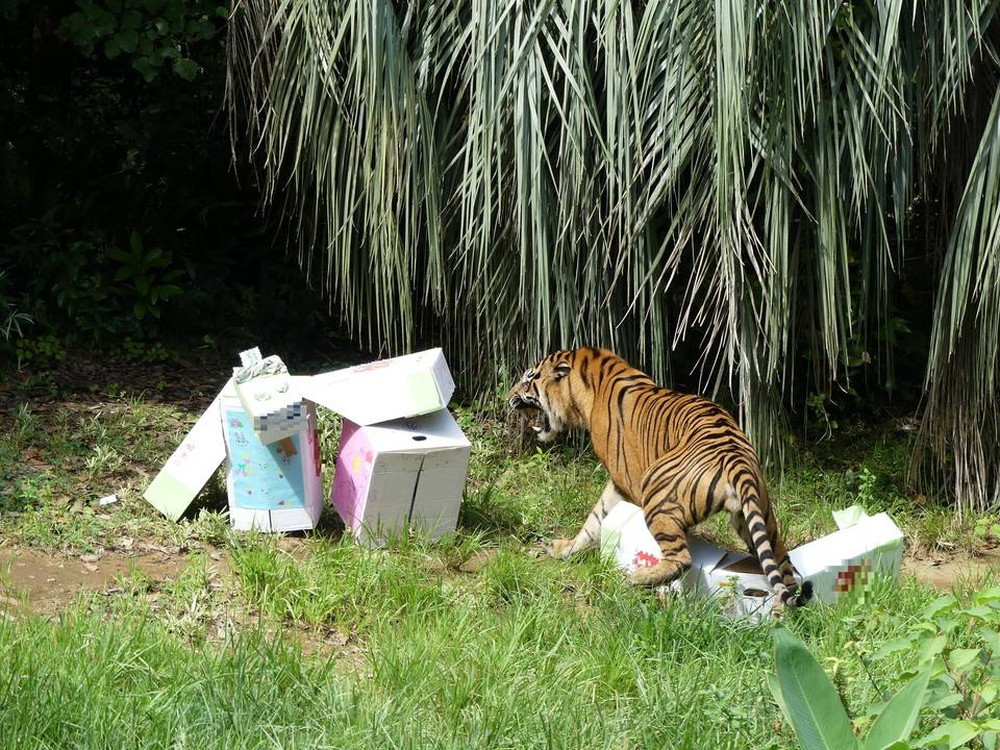 P1170490 - コピー.jpg