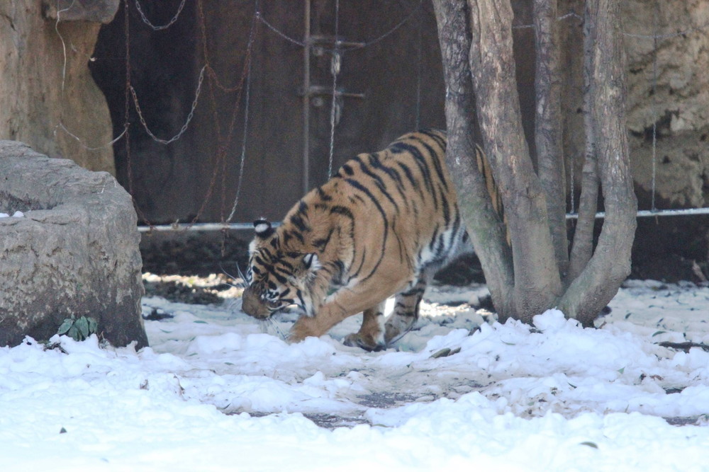 IMG_7162 - コピー.jpg