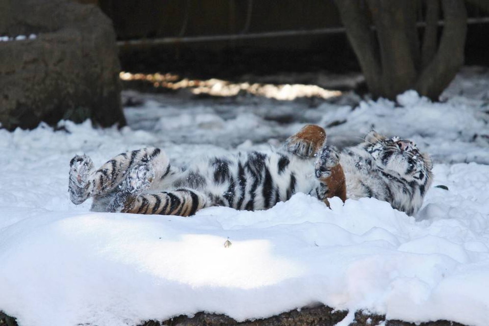 IMG_7245 - コピー.jpg