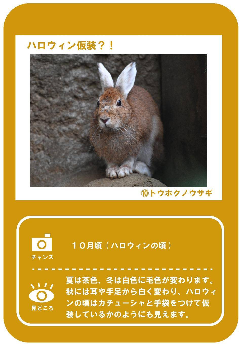 ⑤秋の写真パネル - コピー.jpg