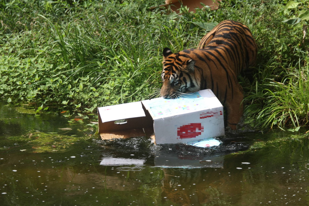 IMG_8089 - コピー.jpg