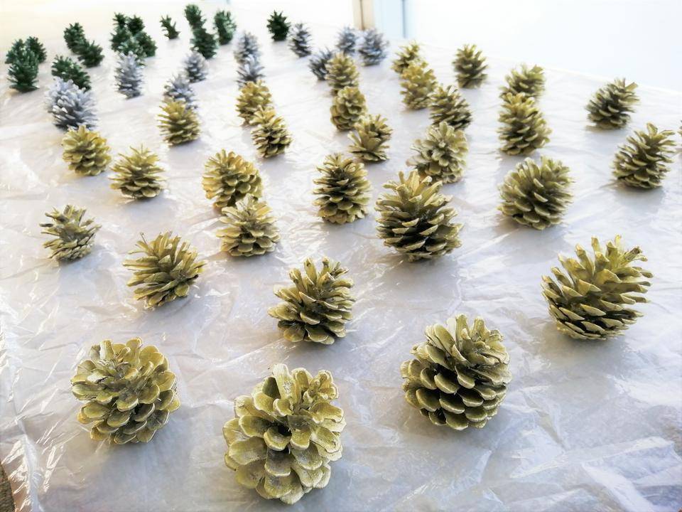 色付けした松ぼっくりを乾かす.jpg