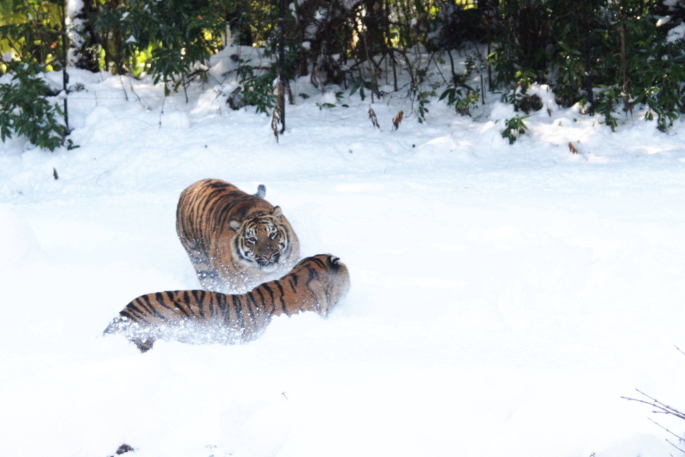 IMG_6641 - コピー.jpg