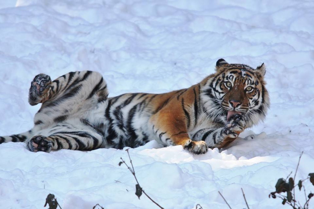 IMG_7208 - コピー.jpg