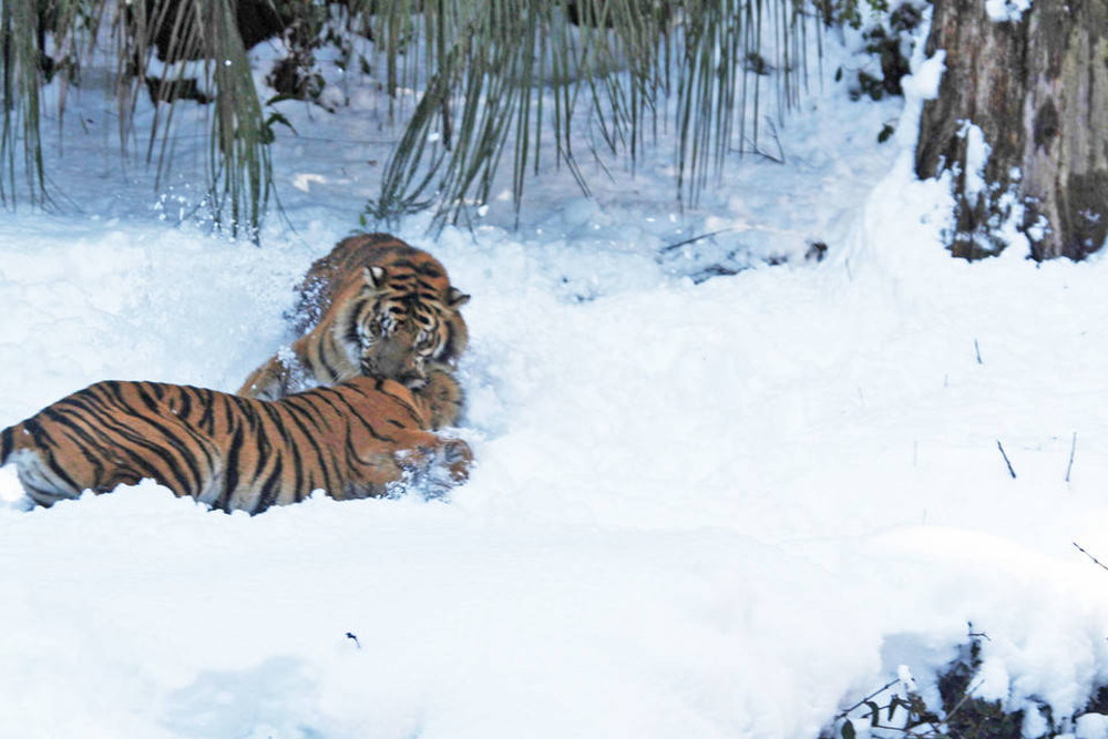 IMG_6834 - コピー.jpg