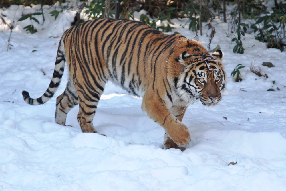 IMG_7215 - コピー.jpg