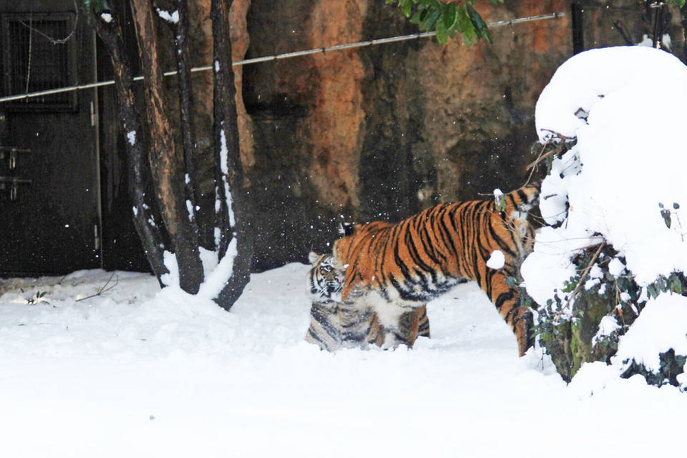 IMG_6742 - コピー.jpg