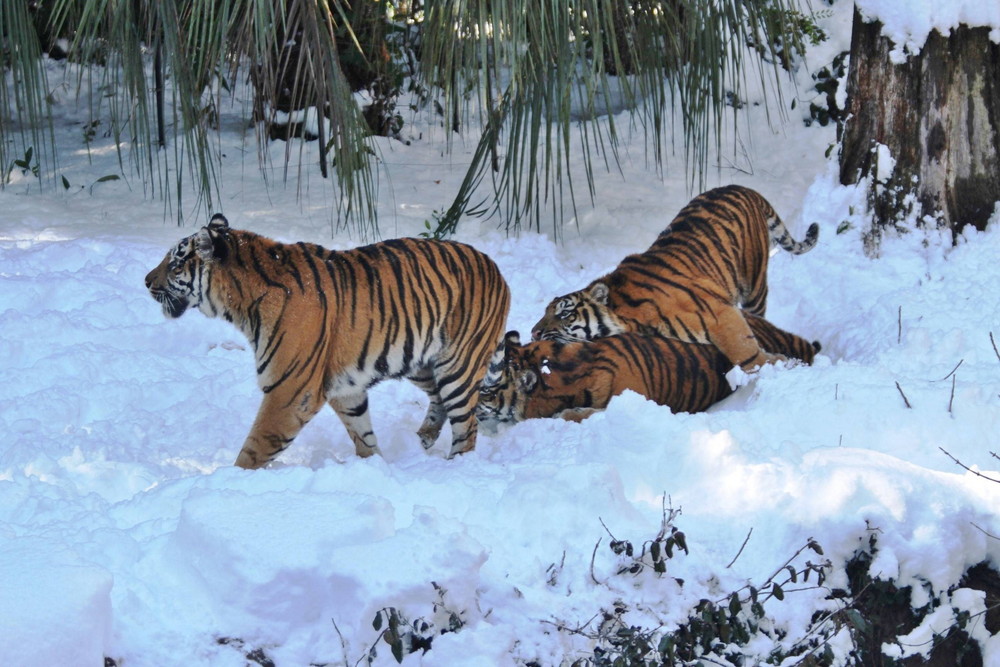 IMG_7054 - コピー.jpg