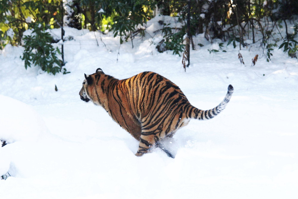 IMG_6635 - コピー.jpg