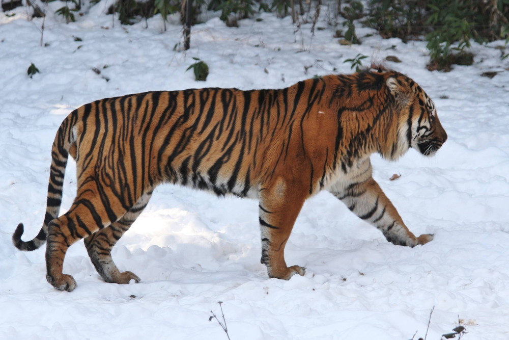 IMG_7389 - コピー.jpg