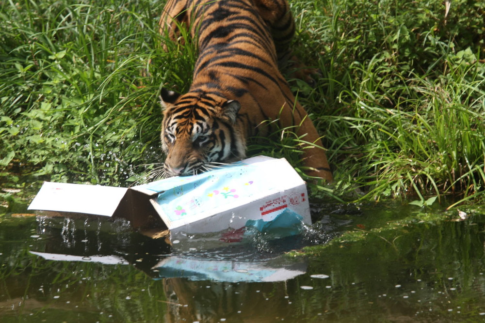 IMG_8086 - コピー.jpg