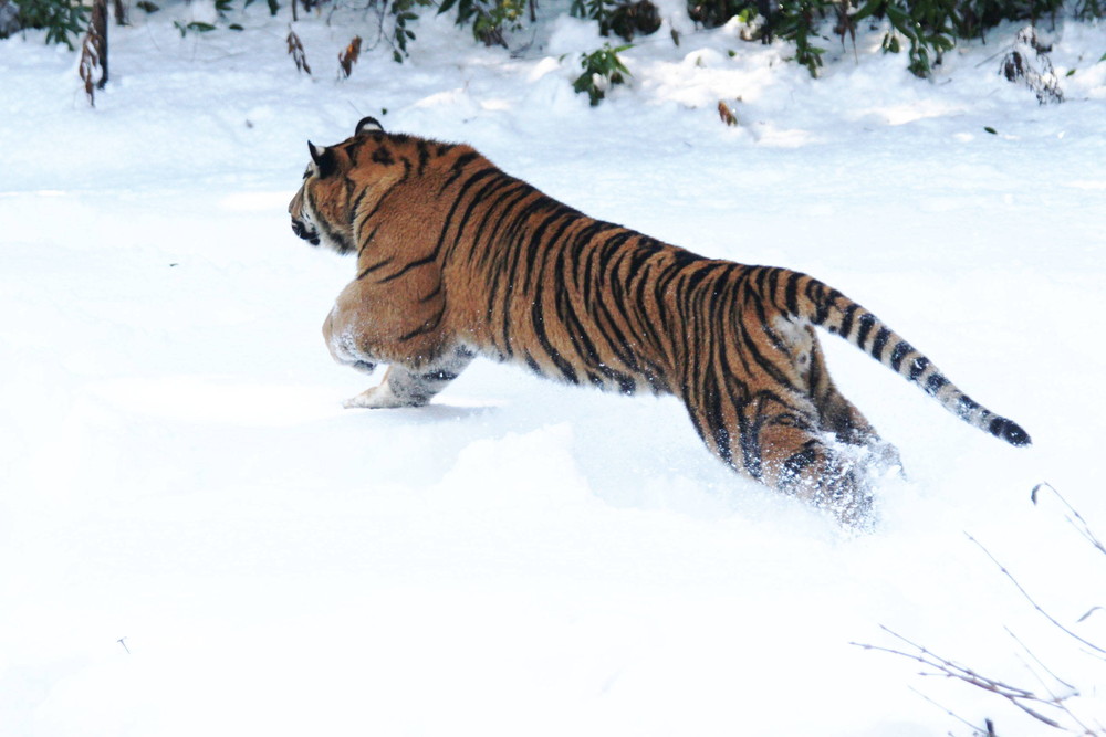 IMG_6632 - コピー.jpg