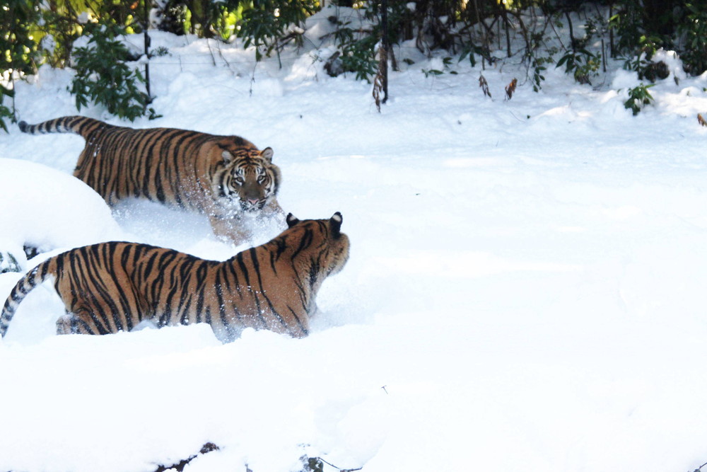 IMG_6639 - コピー.jpg