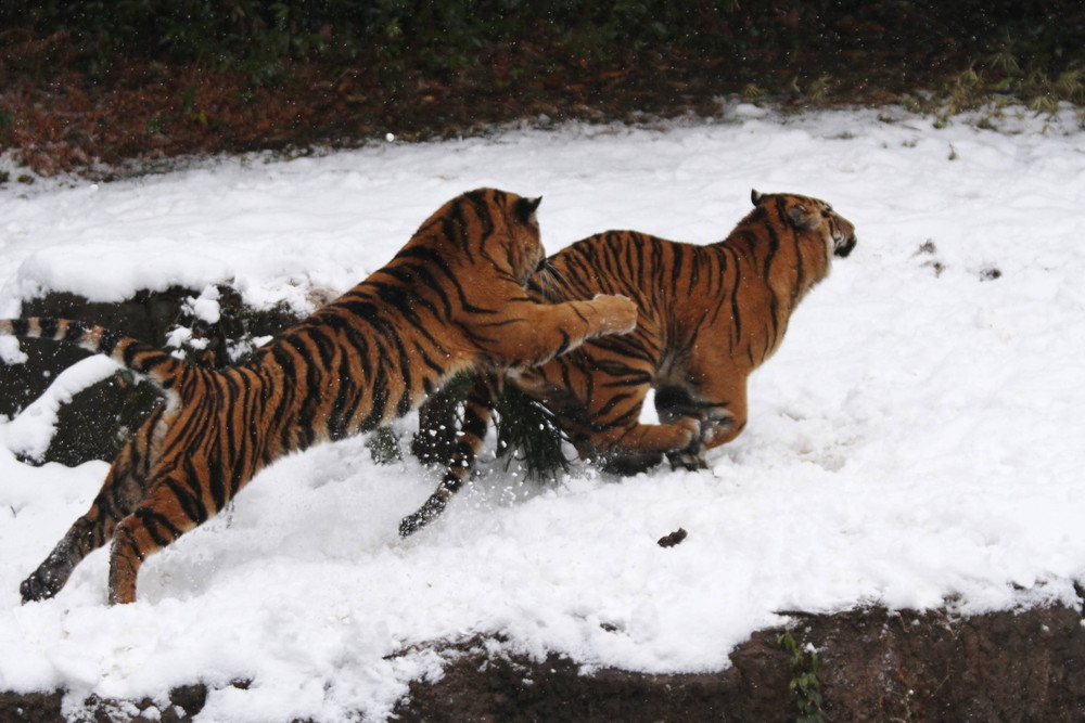 IMG_7550 - コピー.jpg