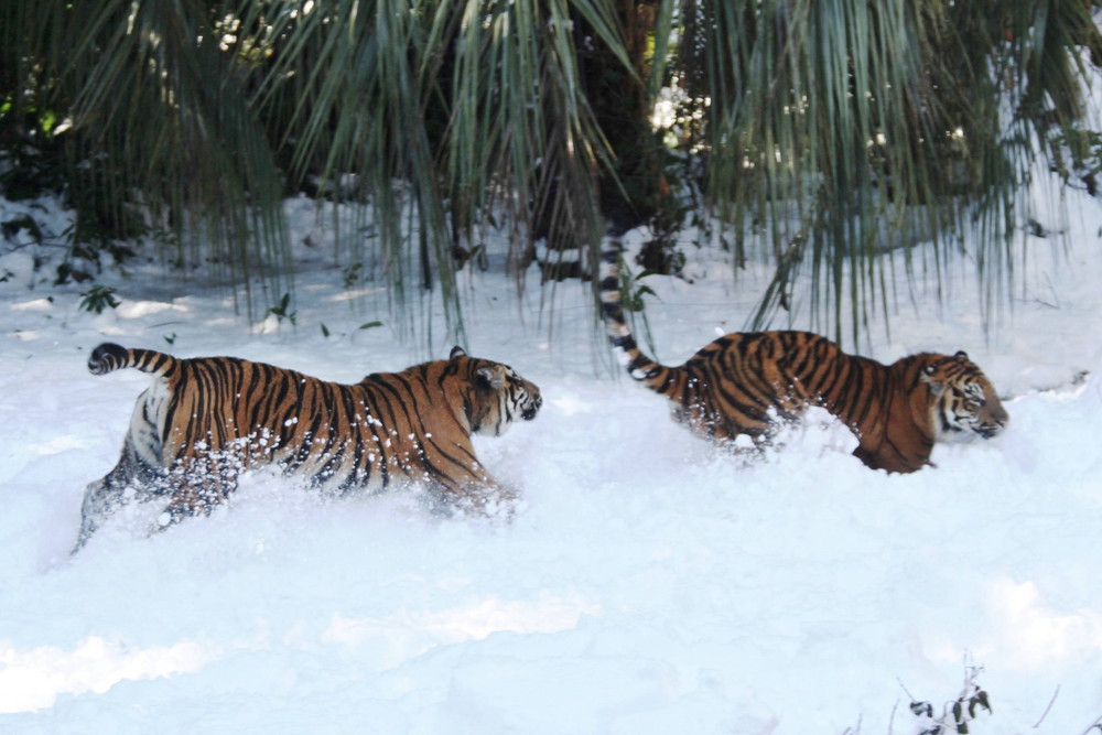 IMG_7033 - コピー.jpg