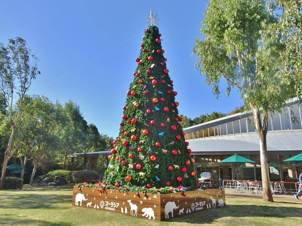 オージーヒルの巨大クリスマスツリー.jpg