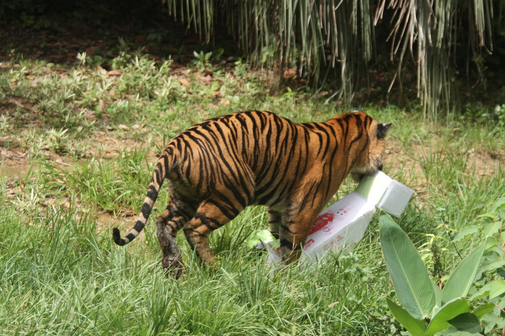 IMG_8140 - コピー.jpg