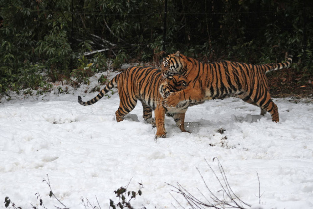 IMG_7674 - コピー.jpg