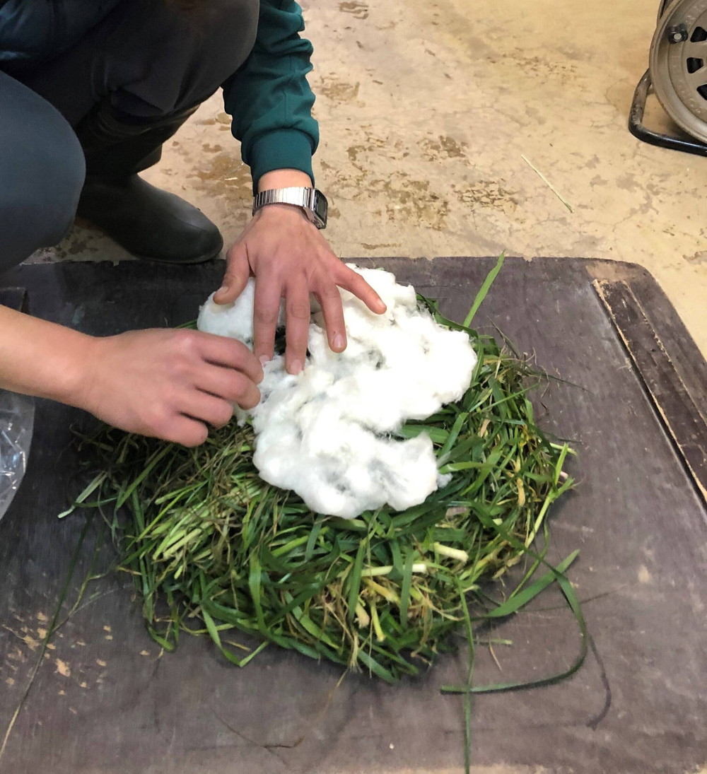 eaa78cd23a6ffbcc81bba10f7163d2e572a3d652 (2).jpg