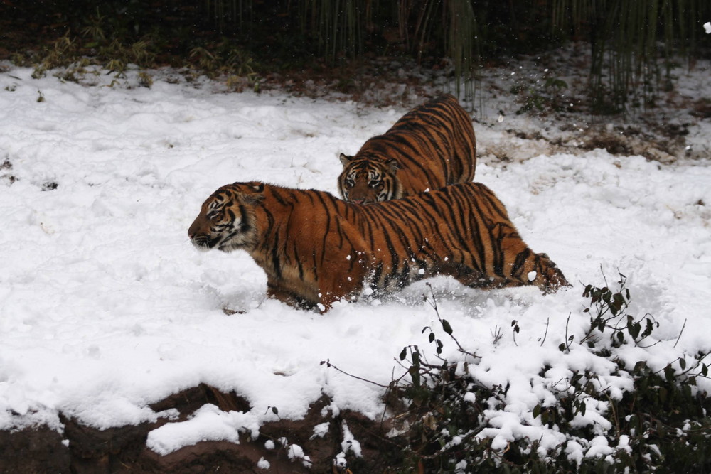 IMG_7572 - コピー.jpg