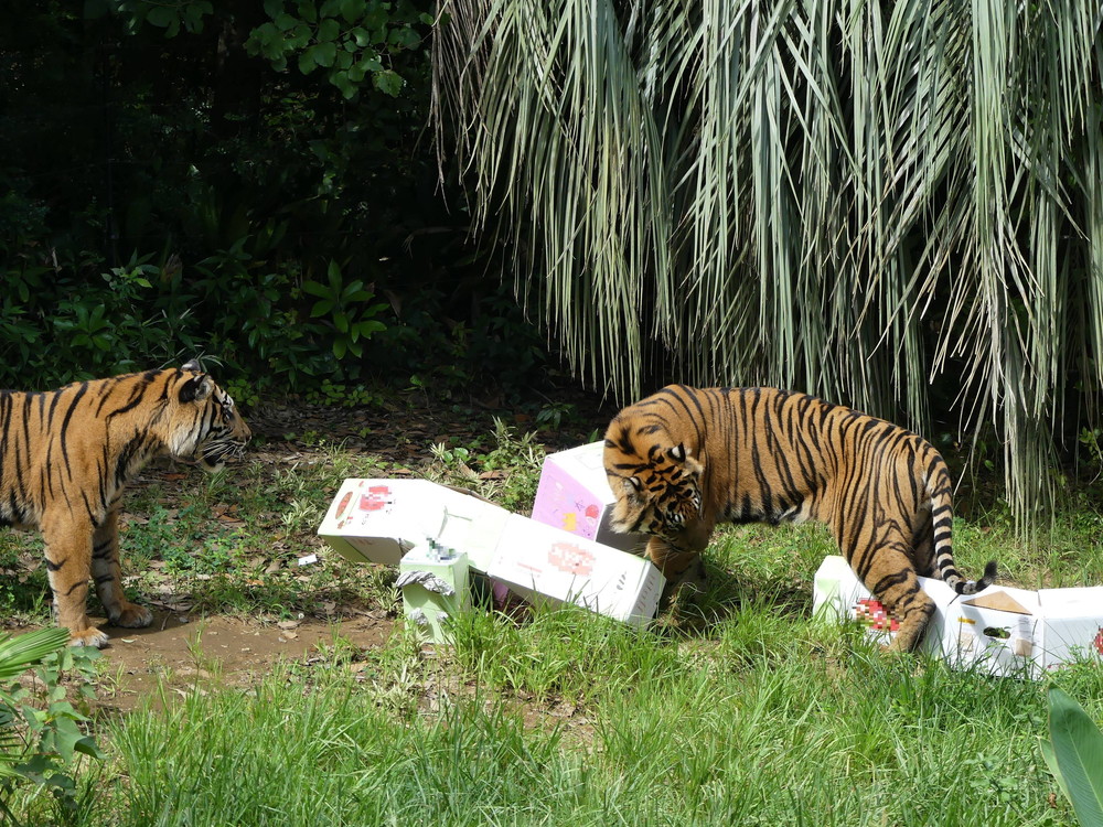 P1170493 - コピー.jpg