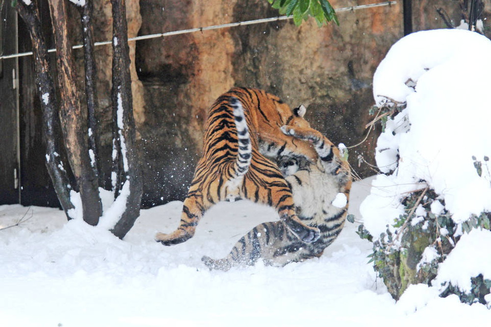 IMG_6744 - コピー.jpg