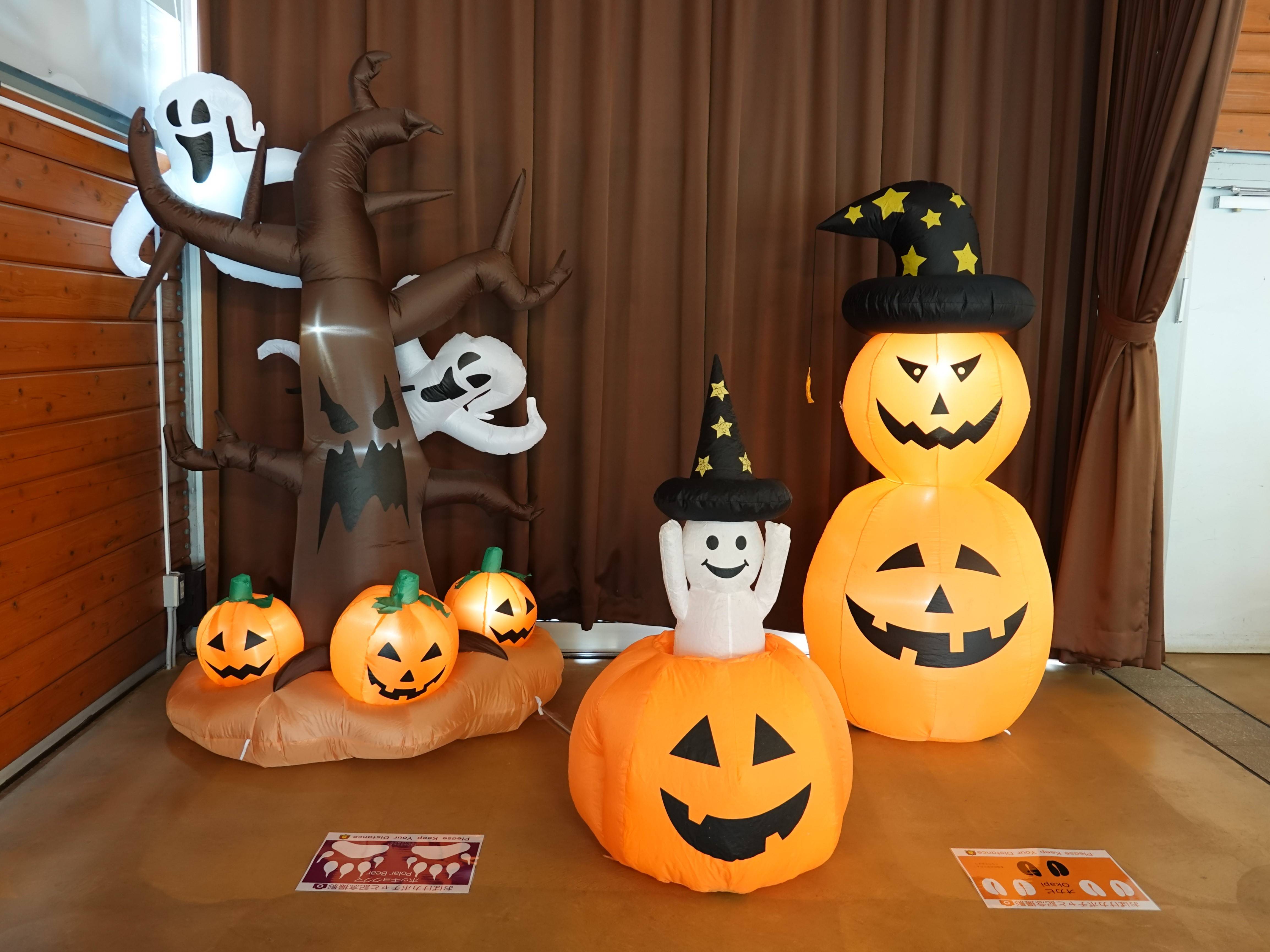 ズーラシアハロウィン イベント 講座 教室情報 よこはま動物園ズーラシア公式サイト 公益財団法人 横浜市緑の協会 ズーラシアハロウィン イベント 講座 教室情報 よこはま動物園ズーラシア公式サイト 公益財団法人 横浜市緑の協会