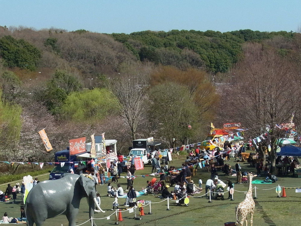 RIMG0096 - コピー.jpg