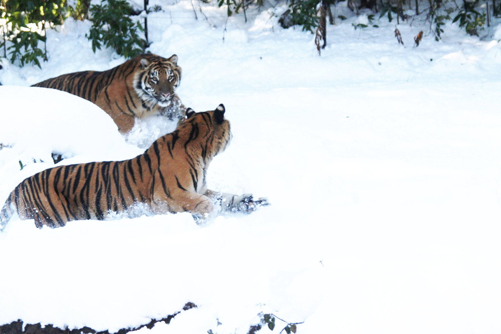 IMG_6638 - コピー.jpg