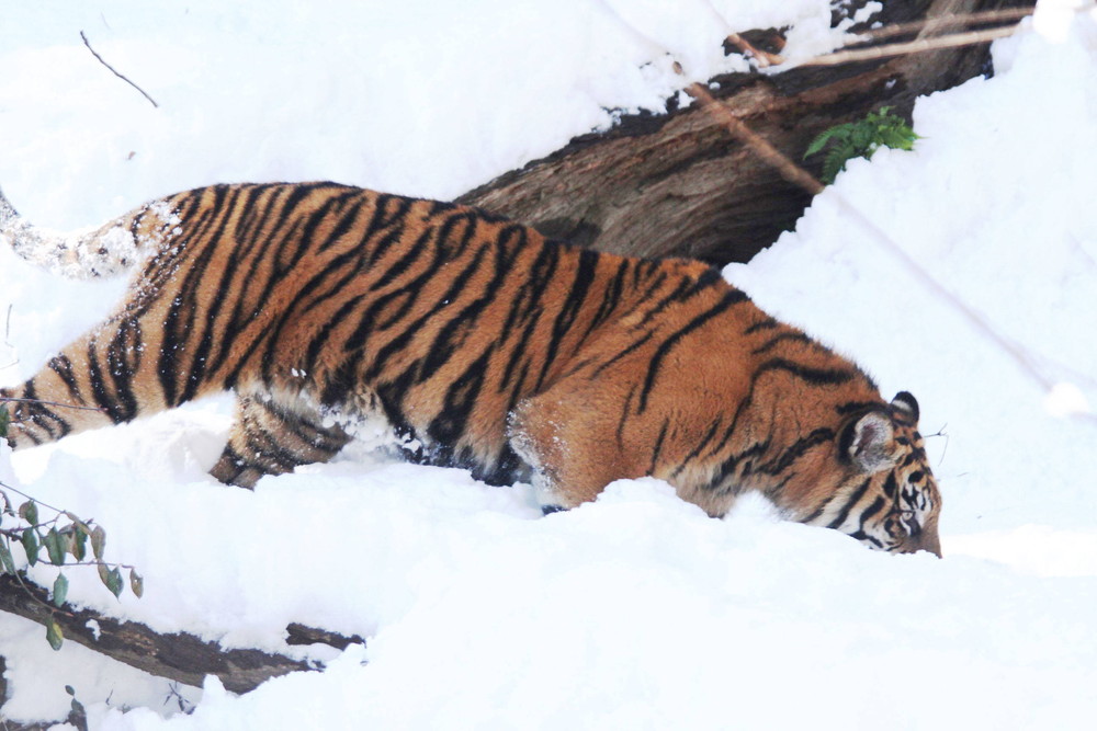 IMG_6544 - コピー.jpg